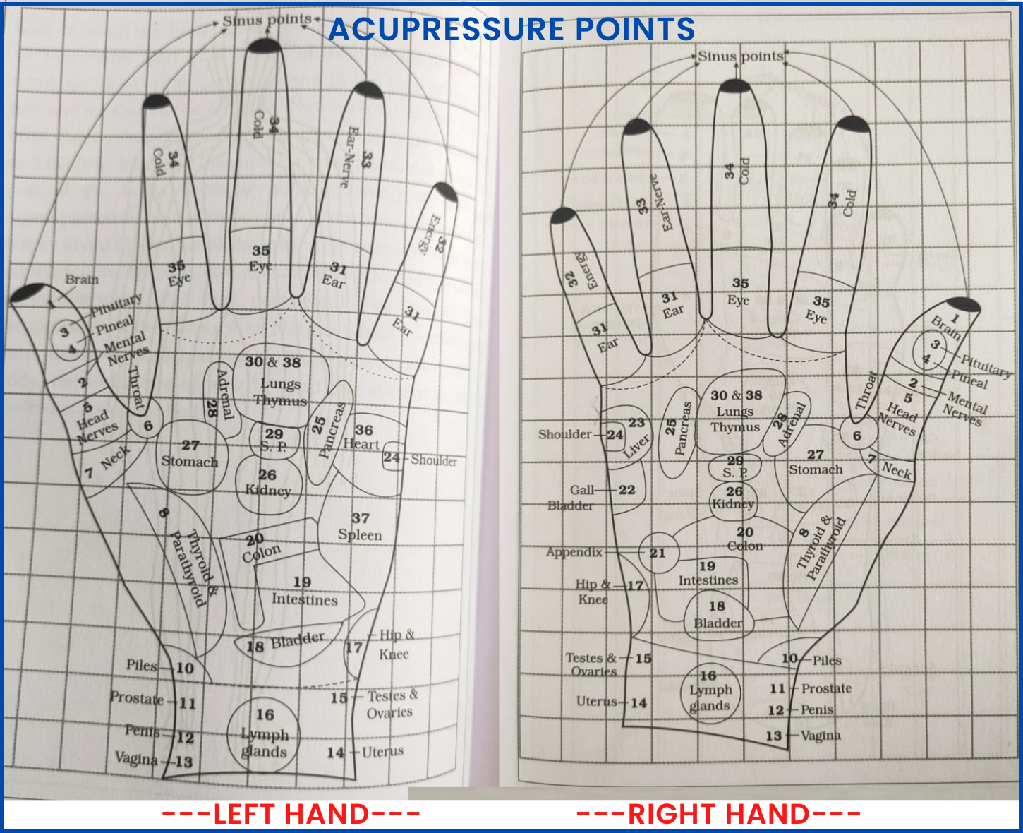 Acupressure Points in Hand