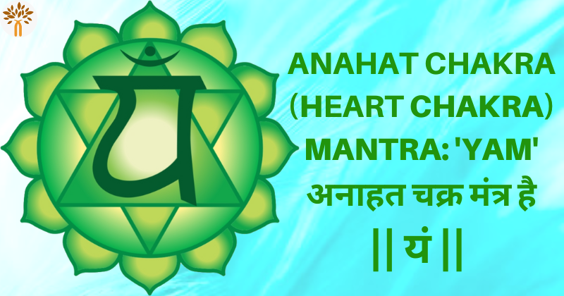 Heart (Anahata) Chakra Healing Juhu