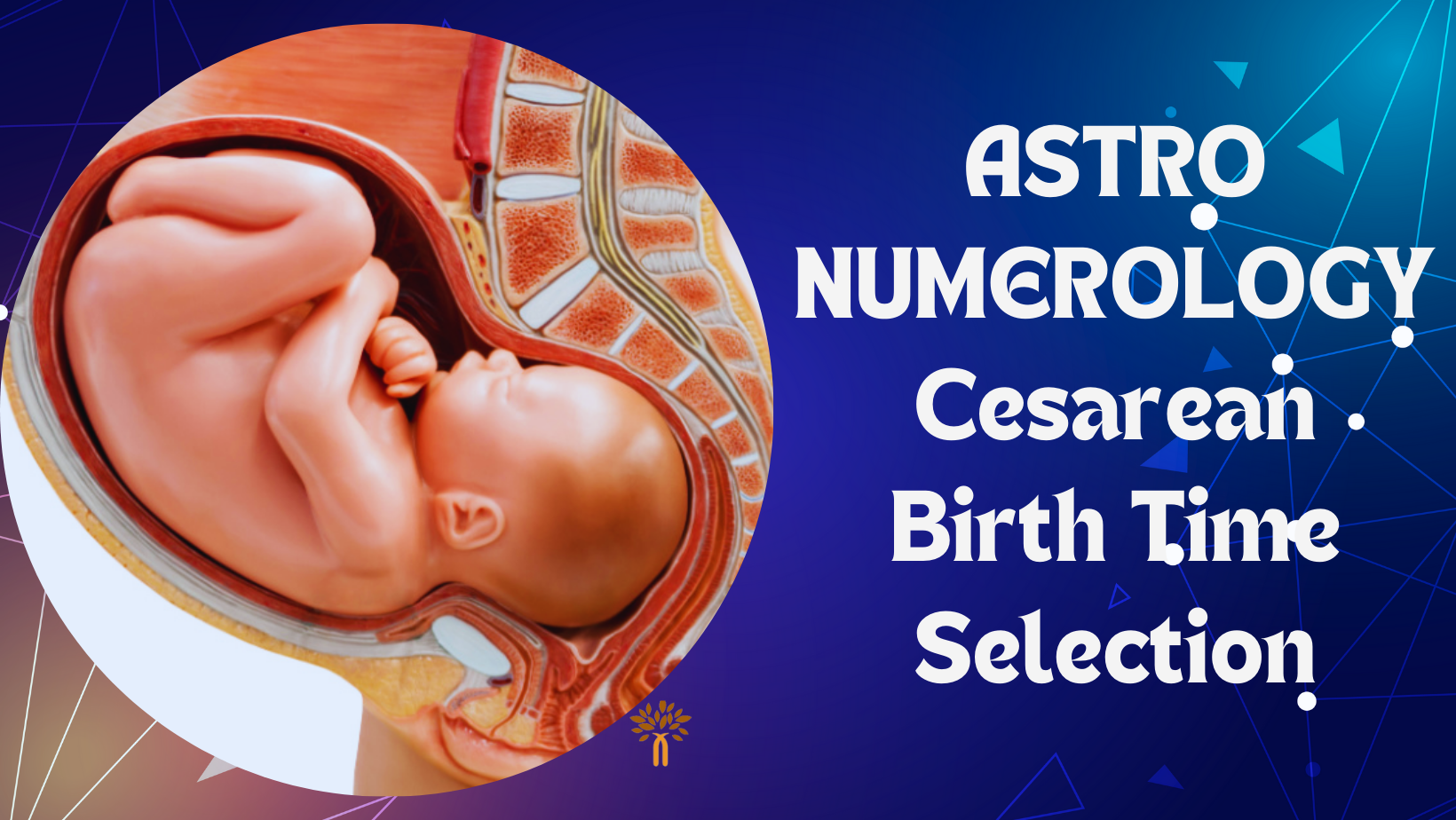 Astro Numerology - Cesarean Birth Time Selection in Nagpur