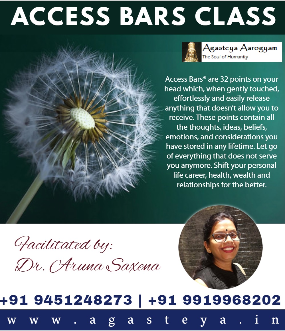 Access Bars Class by Dr. Aruna Saxena - Surat