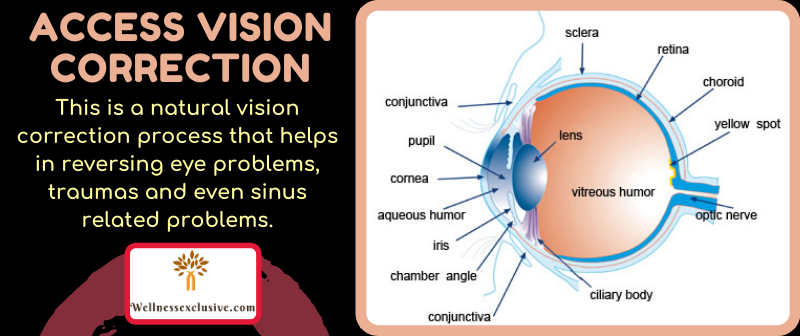 Energetically Correcting Vision in Pondicherry