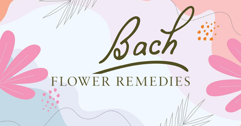 Bach Flower Remedies in Mysore