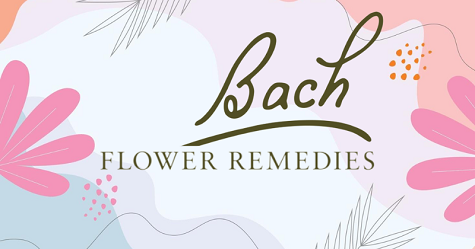 Bach Flower Therapy in Valsad