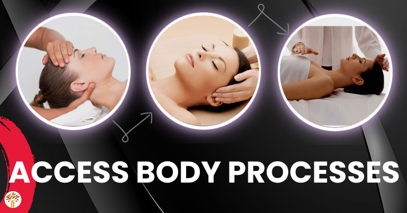 Access Body Processes in Nagpur