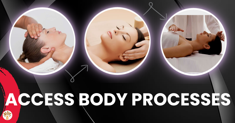 Access Body Processes in Jaipur