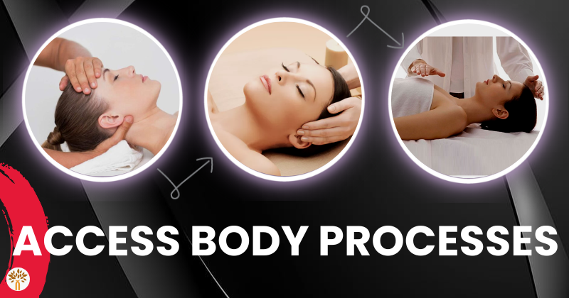 Access Body Processes in Goregaon