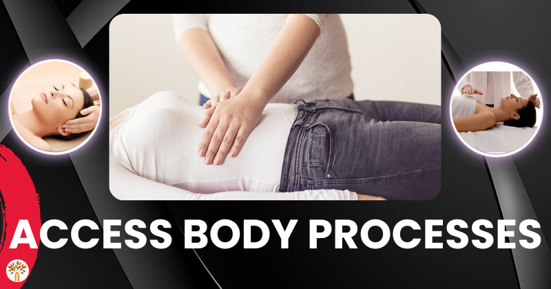 Access Body Processes Hands-On Energy Healing in Rishikesh