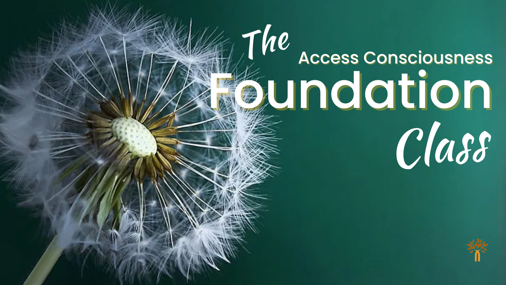 Access Consciousness The Foundation Class - India