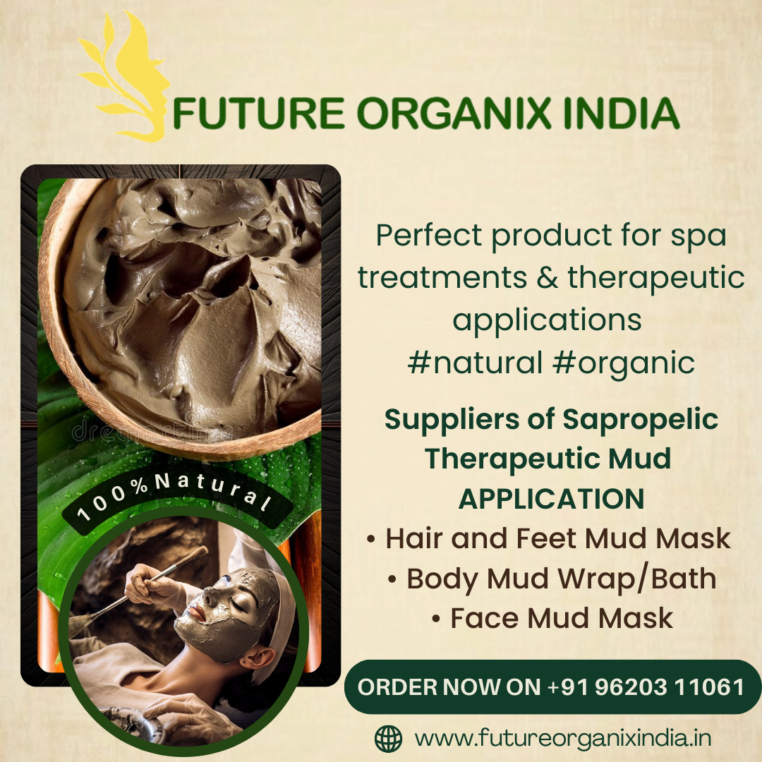 Suppliers of Sapropelic Therapeutic Mud - Andheri