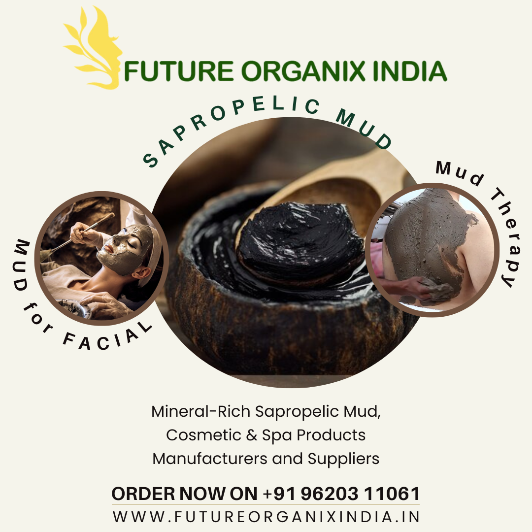Mineral Rich Sapropelic Therapeutic Mud - Andheri
