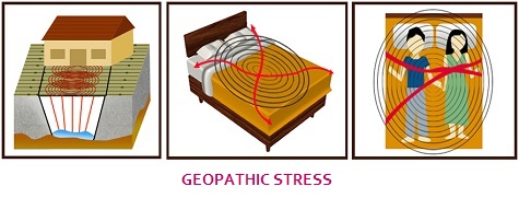 Geopathic Stress Correction - Washington