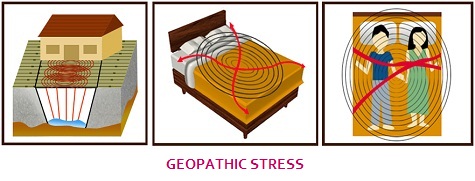 Geopathic Stress Correction in Pondicherry