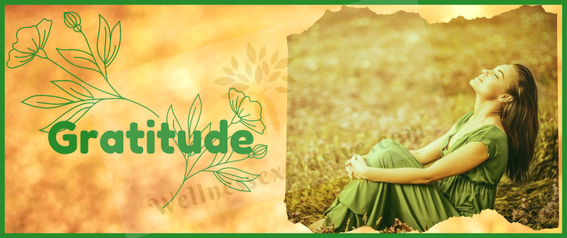 Gratitude Training in Ahmedabad