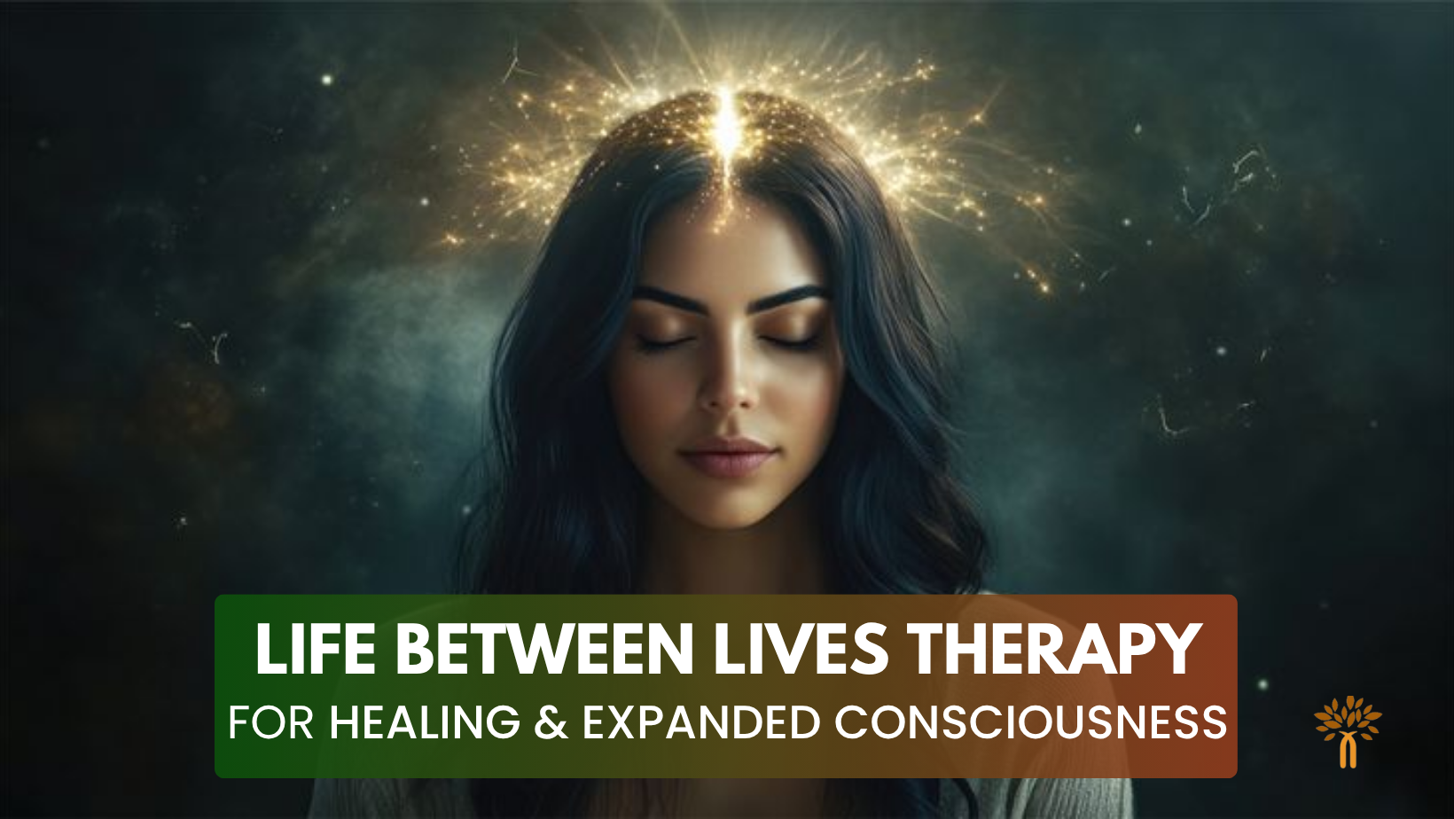 Life Between Lives Therapy For Healing And Expanded Consciousness in Ahmedabad