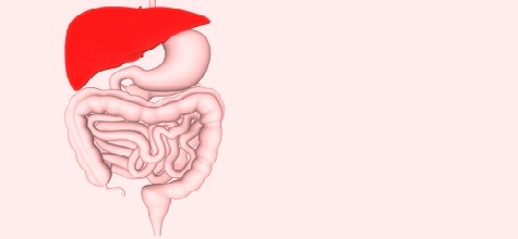 Liver Disease Treatment in Mysore
