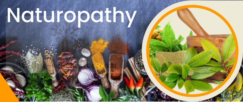 Naturopathy Treatment Centres in Udaipur