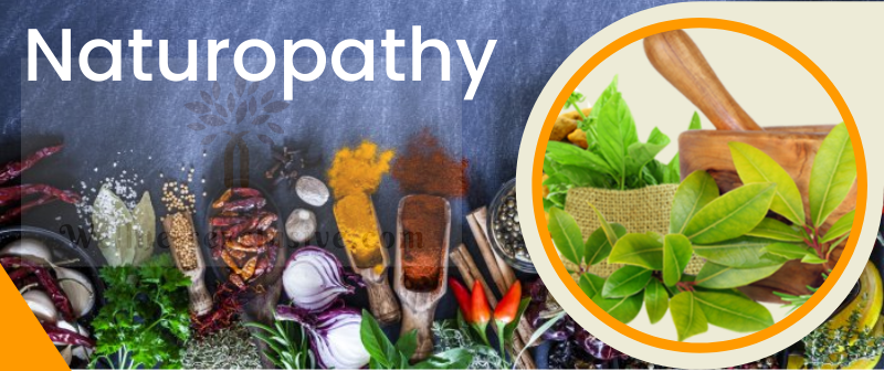 Naturopathy Treatment Centres in Jaipur