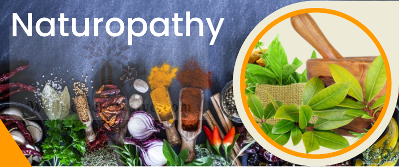 Best Naturopathy Clinics in Raipur