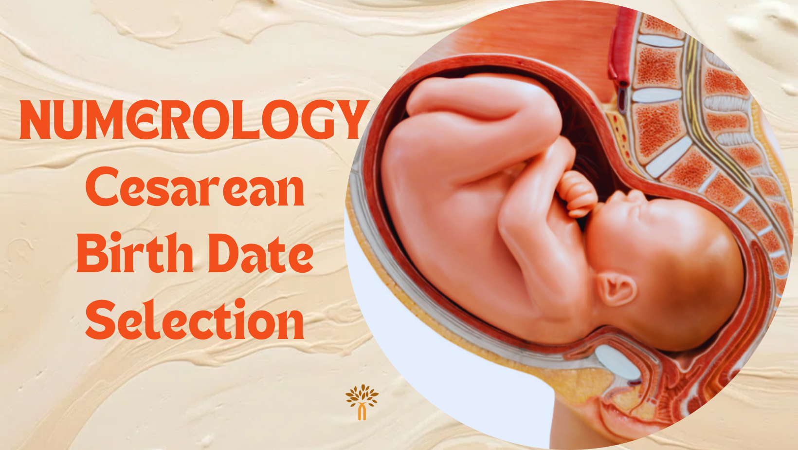 Numerology Cesarean Birth Date Selection in Bhopal