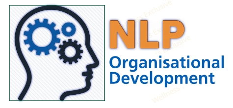 NLP - Organizational Development Course in New York