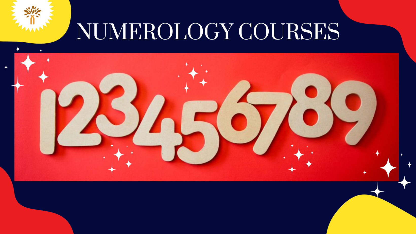 Best Numerology Experts in Bhopal