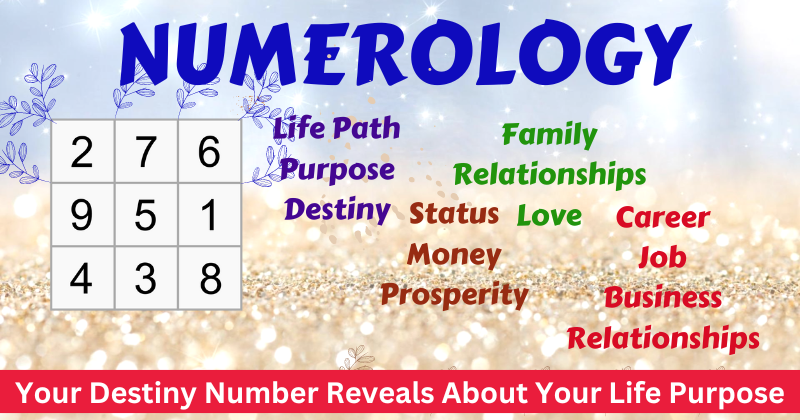 Numerology Life Path -  Jodhpur