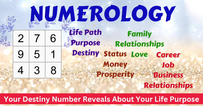 Numerology Life Path -  Nashik