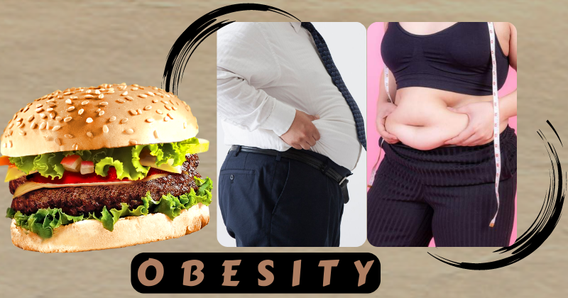 Obesity Treatment in Udaipur