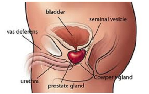 Prostate Enlargement Treatment in 