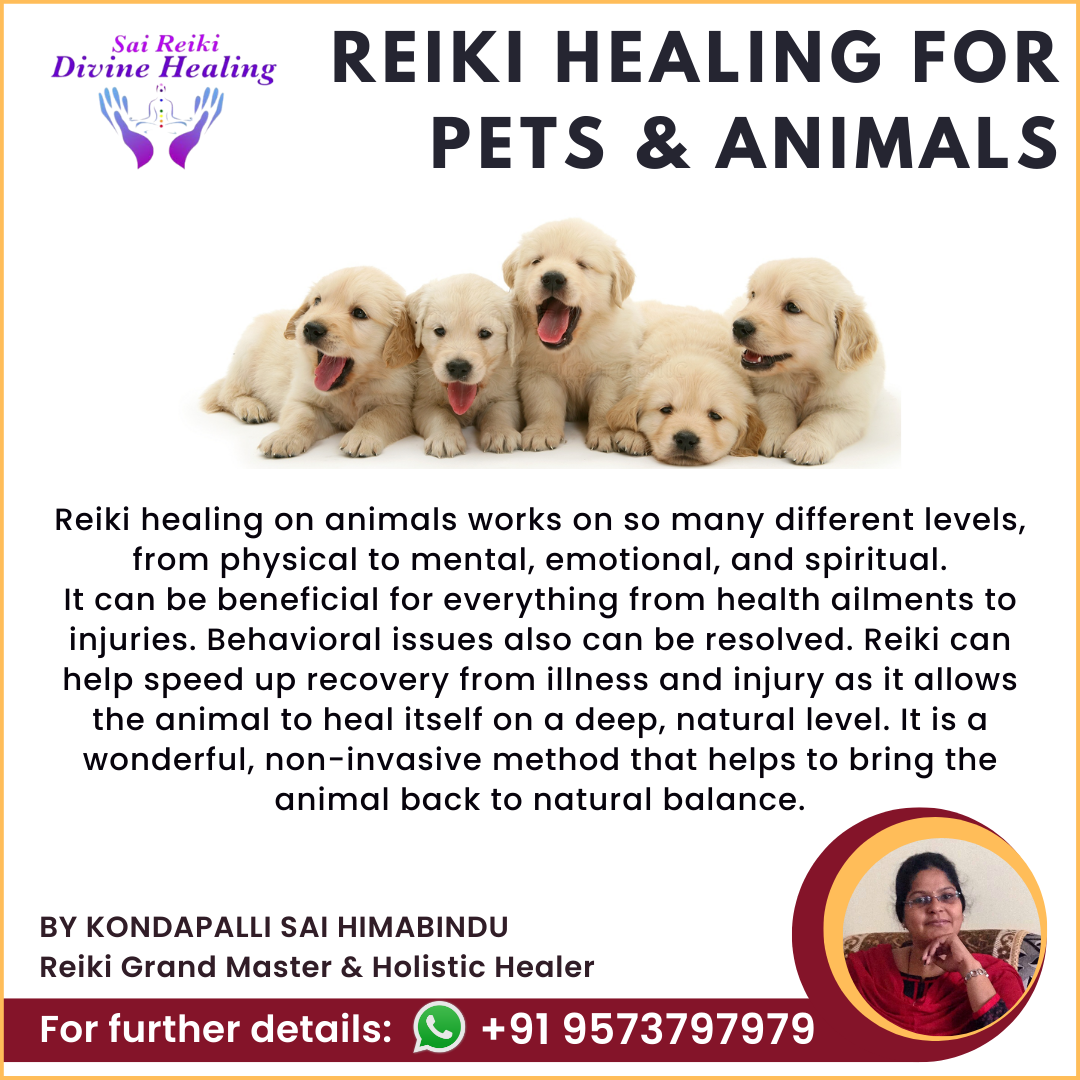 Reiki Healing for Pets and Animals by Sai Himabindu - Hyderabad