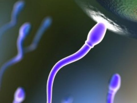 Infertility Treatment In Nizamabad