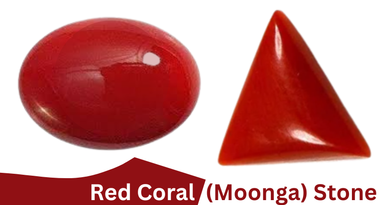 Red Coral (Moonga) Stone
