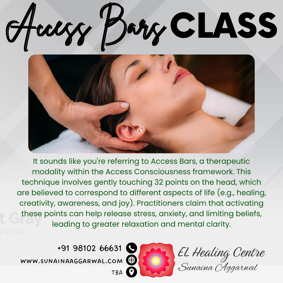 Access Bars Class with Sunaina Aggarwal - Delhi