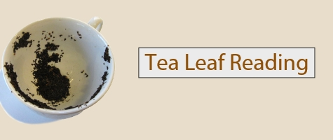 Tea Leaf Reading in Haridwar