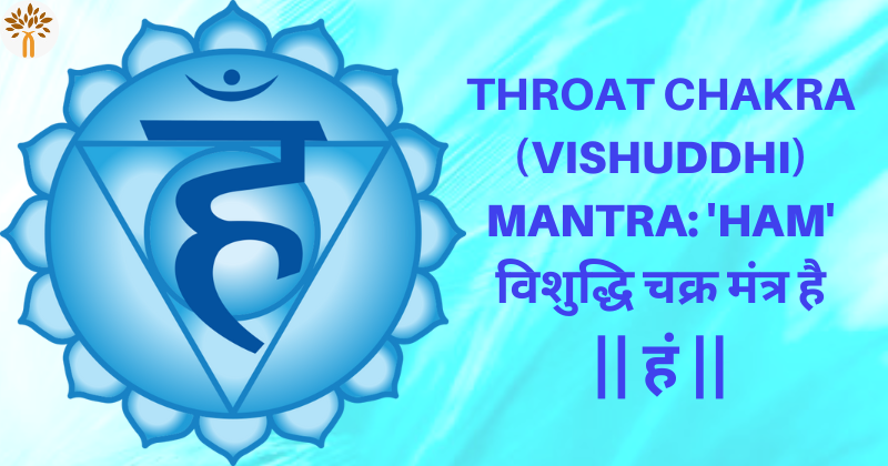 Throat (Vishuddhi) Chakra Healing Vadodara