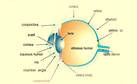 Access Eye Vision Correction in Mumbai