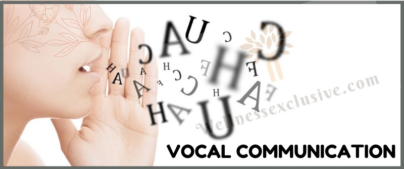 Vocal Communication Trainer near me